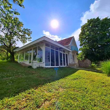 Honey Hill Apartment Fruska Gora Cerevic Luaran gambar