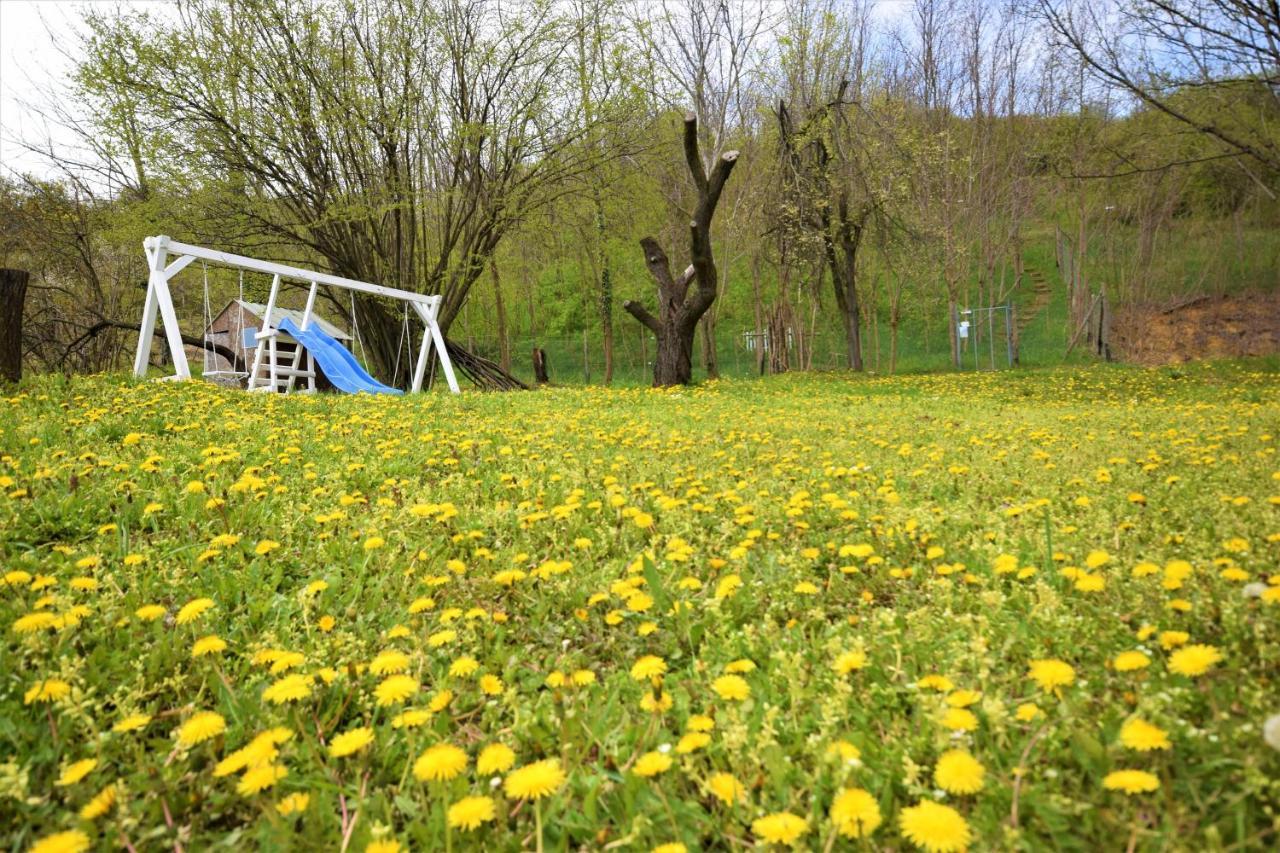 Honey Hill Apartment Fruska Gora Cerevic Luaran gambar
