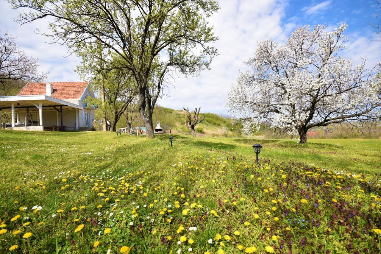 Honey Hill Apartment Fruska Gora Cerevic Luaran gambar