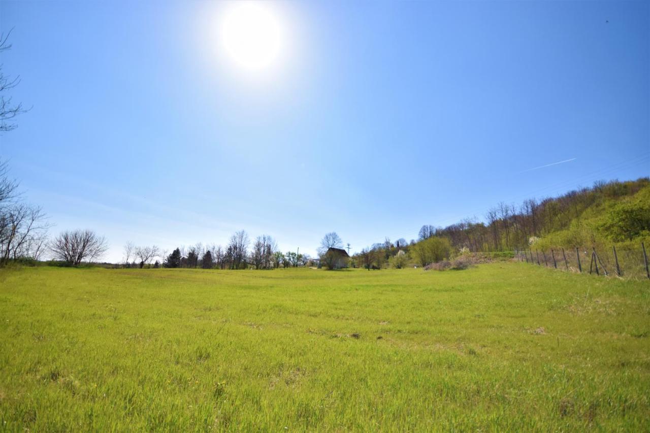 Honey Hill Apartment Fruska Gora Cerevic Luaran gambar