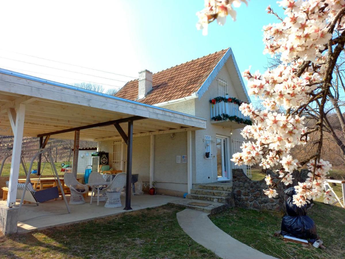 Honey Hill Apartment Fruska Gora Cerevic Luaran gambar