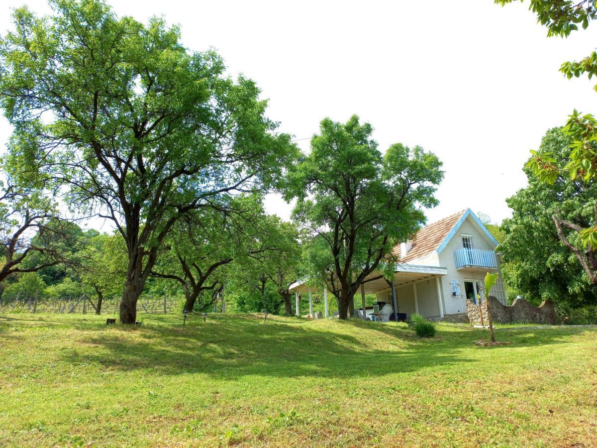 Honey Hill Apartment Fruska Gora Cerevic Luaran gambar