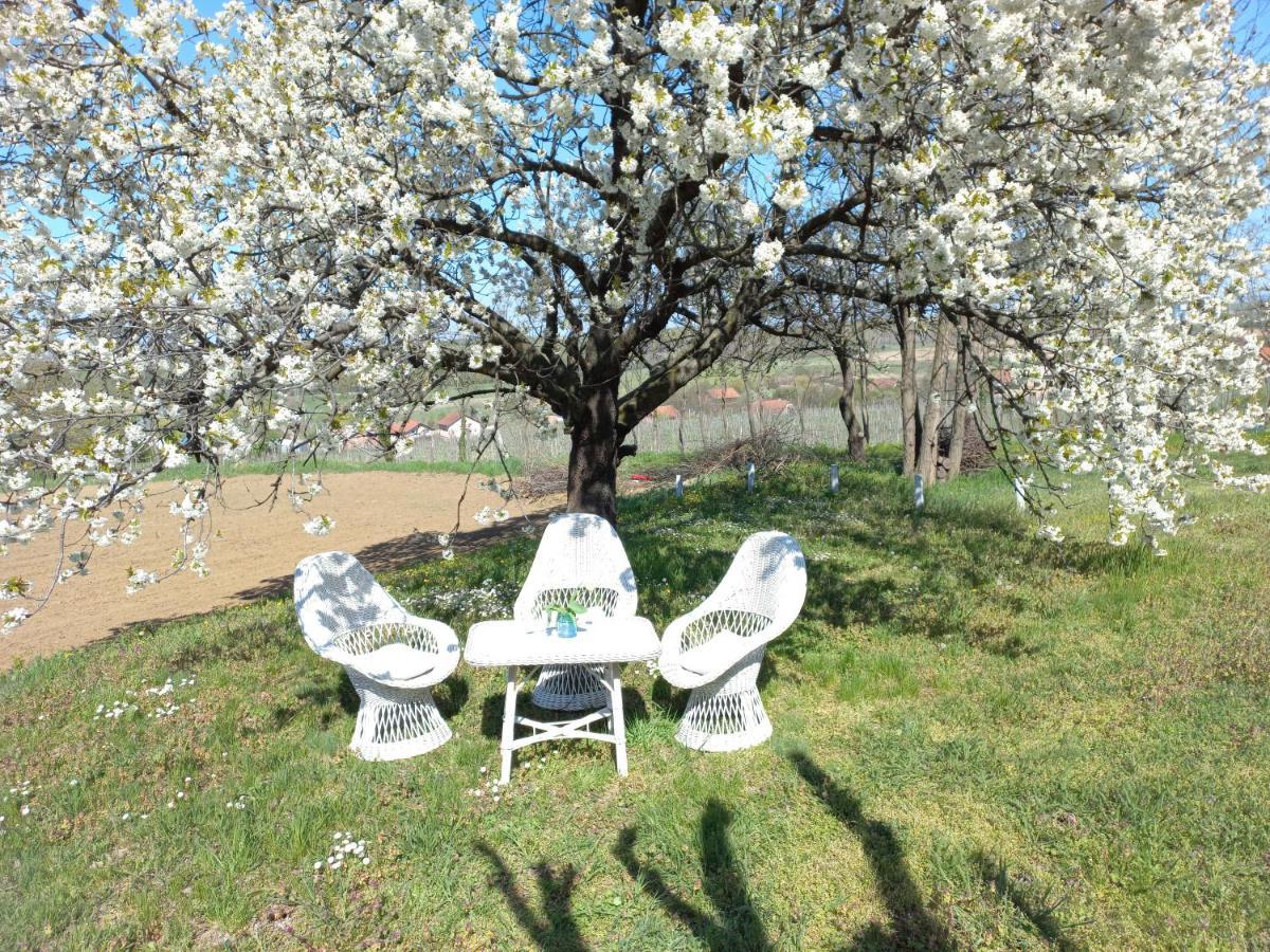Honey Hill Apartment Fruska Gora Cerevic Luaran gambar