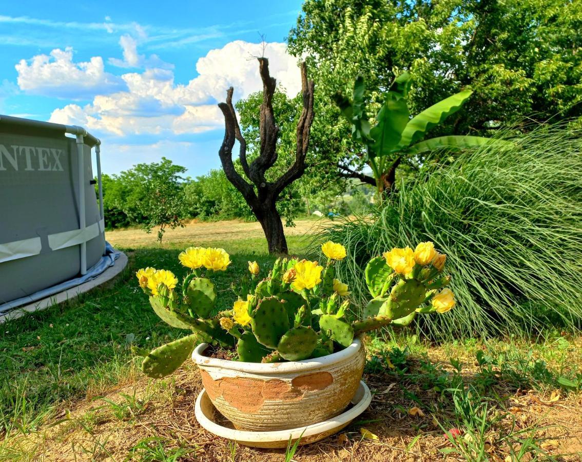 Honey Hill Apartment Fruska Gora Cerevic Luaran gambar