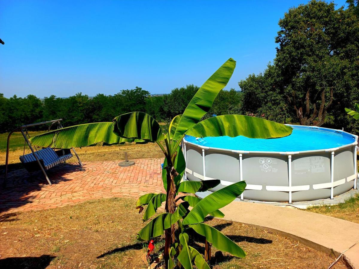 Honey Hill Apartment Fruska Gora Cerevic Luaran gambar