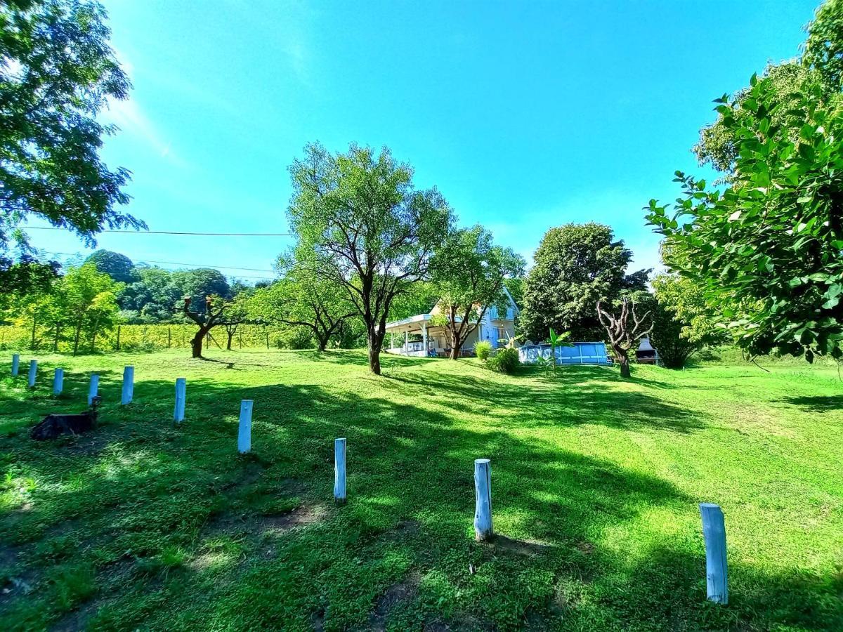 Honey Hill Apartment Fruska Gora Cerevic Luaran gambar