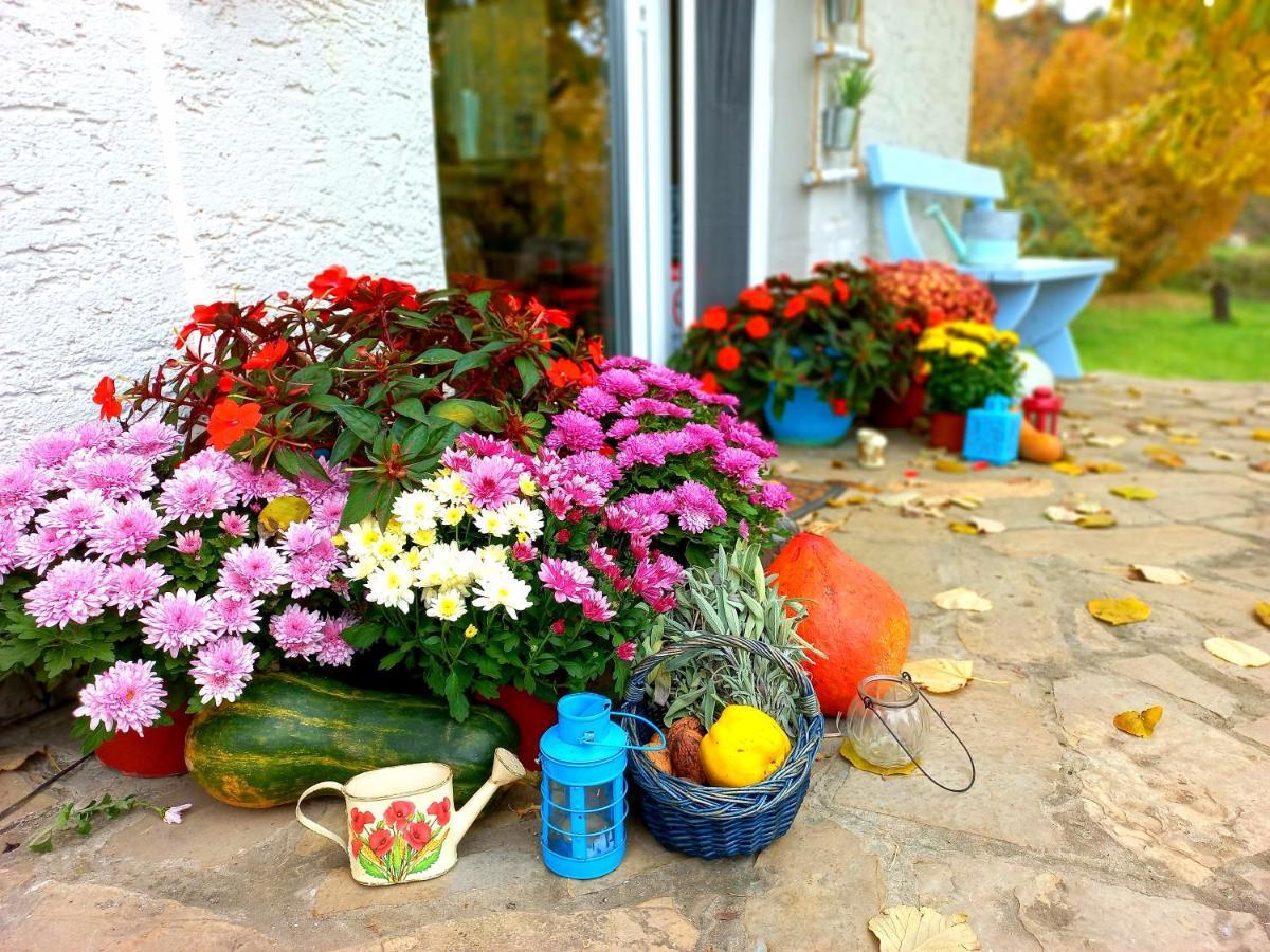 Honey Hill Apartment Fruska Gora Cerevic Luaran gambar