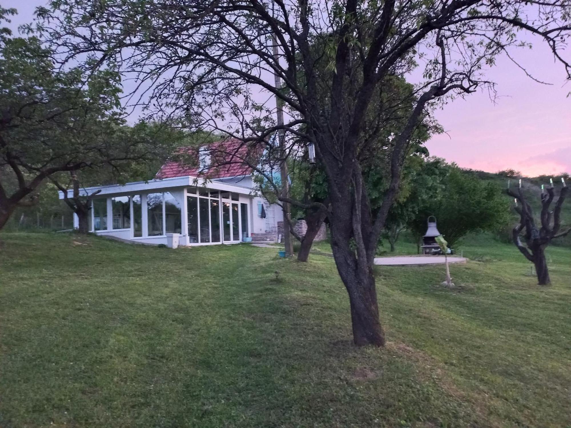 Honey Hill Apartment Fruska Gora Cerevic Luaran gambar